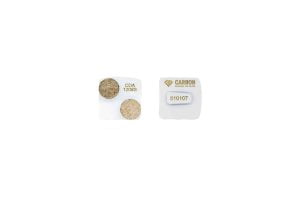 120# (R-Type) Quick Change Grinding Shoe, Soft Bond, Double Segment 13mm